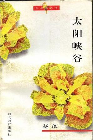 太阳峡谷封面