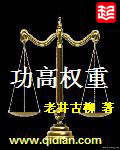 功高权重封面
