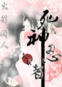 火影 死神忍者封面