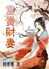 富贵财妻封面