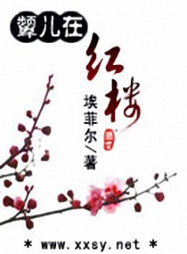 颦儿在红楼封面