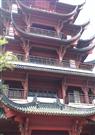 重生小媳妇封面
