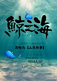 鲸之海封面