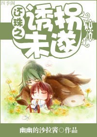 还珠之诱拐未遂封面
