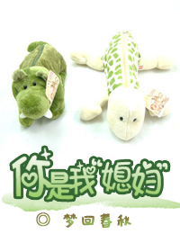 你是我媳妇封面