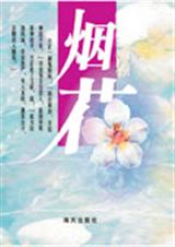烟花封面