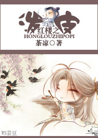 红楼之泼皮封面