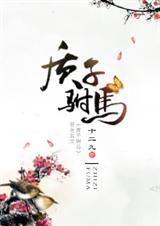 质子驸马封面