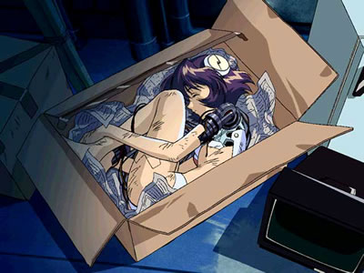 ��ż����֮������