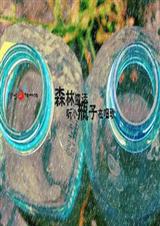 仙侠魔踪封面
