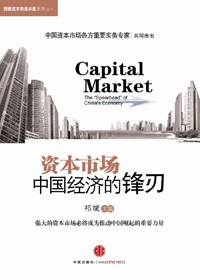 中国经济的锋刃:资本市场封面