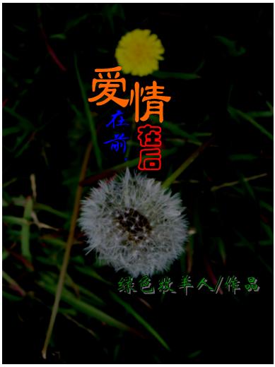 爱在前,情在后(悉尼留学故事)封面